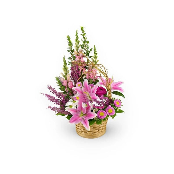 Stargazer Sympathy Basket